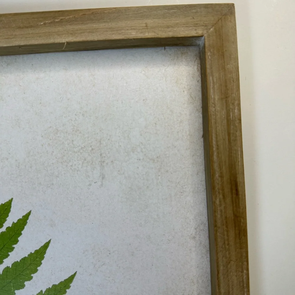New Framed Green Fern Botanical Minimalistic Modern Herbal Wall Art